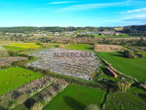 Quinta de 3,24ha - A 5min. Montemor-o-Velho