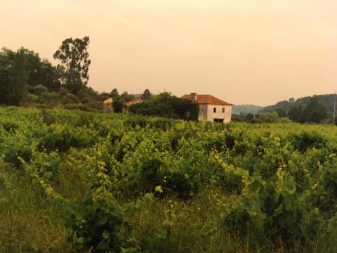Quinta em Gondemaria, Ourém
