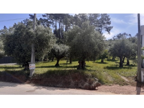 Terreno em Freixianda, Ribeira do Fárrio e Formigais, Ourém