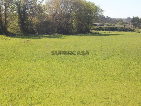 Terreno Silva Escura - Maia