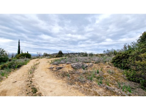 Terreno com Ruina - Paderne