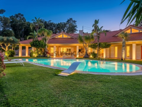 Quinta da Perguiça 59