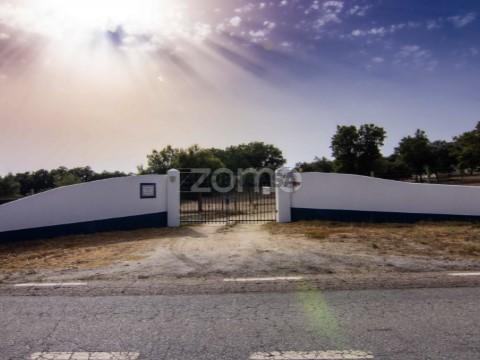Entrada