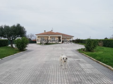 Quinta T5 Duplex em Poceirão e Marateca, Palmela