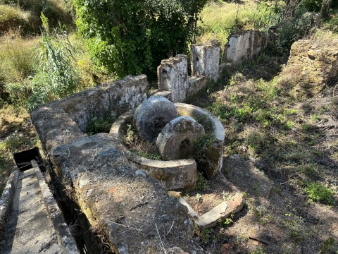 葡萄酒酿造厂 在 Sardoal, Sardoal