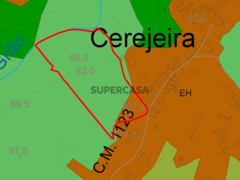 Terreno Rústico em Asseiceira, Tomar