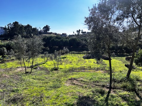 Terreno urbano para construção com dois poços