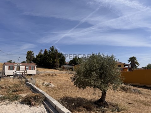 Terreno com viabilidade de construção em para vender em São Pedro de Tomar