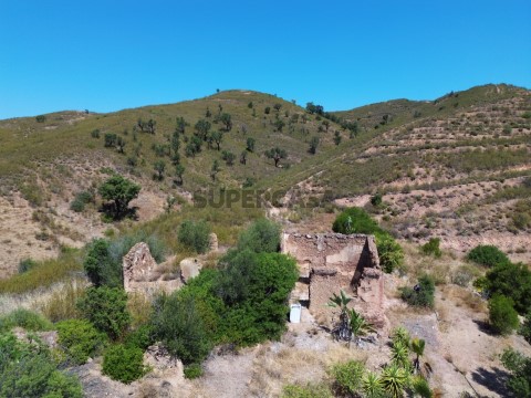 DJI_0102