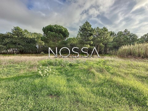 Terreno em Sesimbra (Castelo), Sesimbra