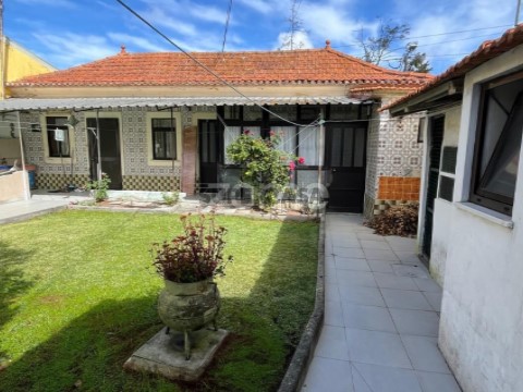Quintal/Jardim