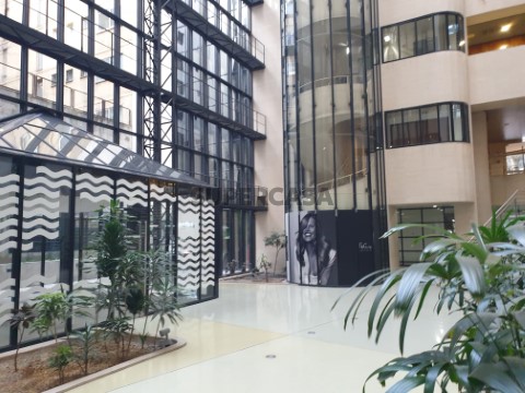 LB_OFI_336