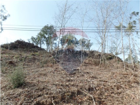 Terreno em Sequeira, Braga
