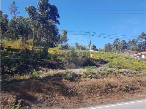 Terrain au Vilela, Póvoa de Lanhoso