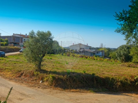 Terreno em Antuzede e Vil de Matos, Coimbra