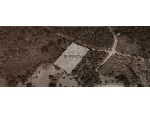 Terreno em Poiares (Santo André), Vila Nova de Poiares