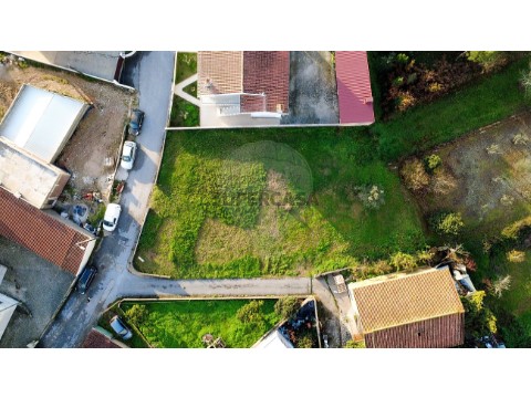 Terreno em Figueira de Lorvão, Penacova