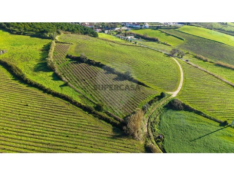 Terreno em Carvoeira e Carmões, Torres Vedras