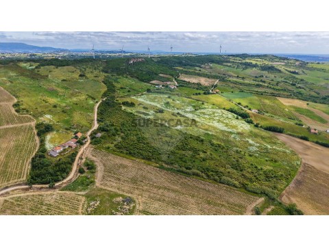 Moradia T1 em Arruda dos Vinhos, Arruda dos Vinhos