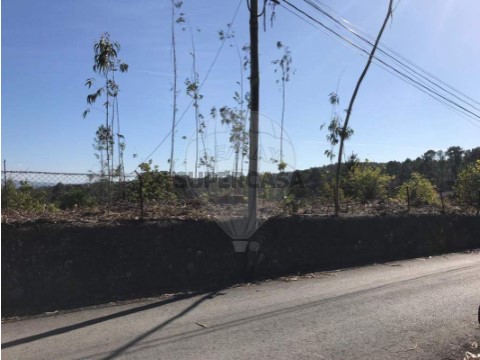 Terreno em Canedo, Santa Maria da Feira