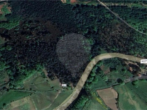 Terreno em Santa Cruz da Trapa e São Cristóvão de Lafões, São Pedro do Sul