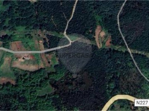 Terreno em Santa Cruz da Trapa e São Cristóvão de Lafões, São Pedro do Sul