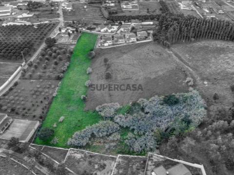 Terreno em Rio Maior, Rio Maior