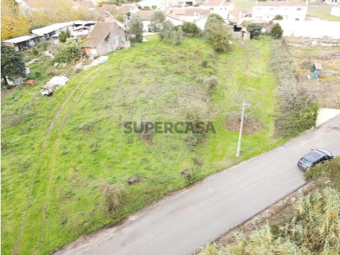 Terreno em Calvaria de Cima, Porto de Mós