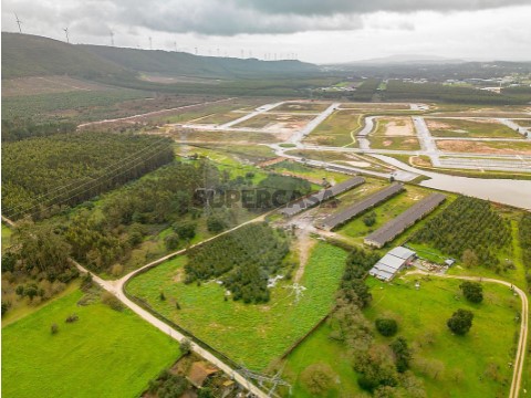 Terreno em Benedita, Alcobaça