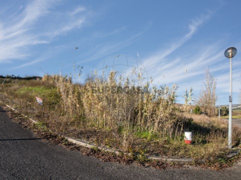 Terrein Op Carvoeira e Carmões, Torres Vedras