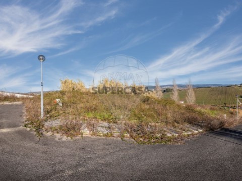 Terrein Op Carvoeira e Carmões, Torres Vedras
