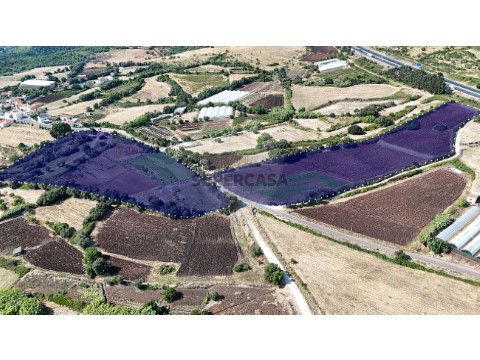 Moradia T2 em Loures, Loures