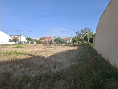 Terreno em Alpiarça, Alpiarça