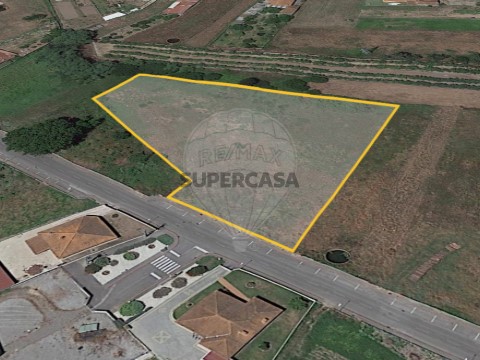 Terreno em Bustos, Troviscal e Mamarrosa, Oliveira do Bairro