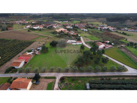 Terreno em São Lourenço do Bairro, Anadia