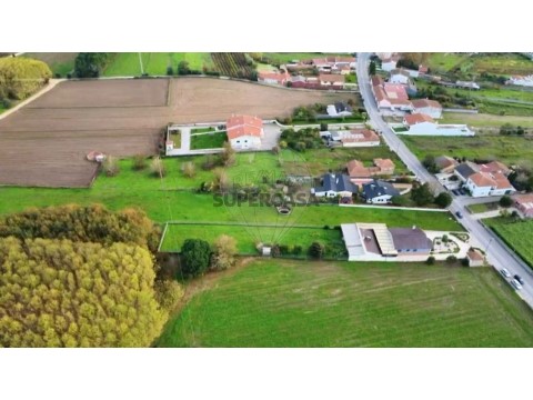 Grundstück auf Bustos, Troviscal e Mamarrosa, Oliveira do Bairro