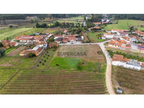 Grundstück auf Bustos, Troviscal e Mamarrosa, Oliveira do Bairro