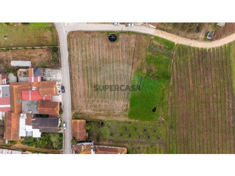 Terreno em Bustos, Troviscal e Mamarrosa, Oliveira do Bairro