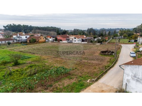 Terreno em Bustos, Troviscal e Mamarrosa, Oliveira do Bairro