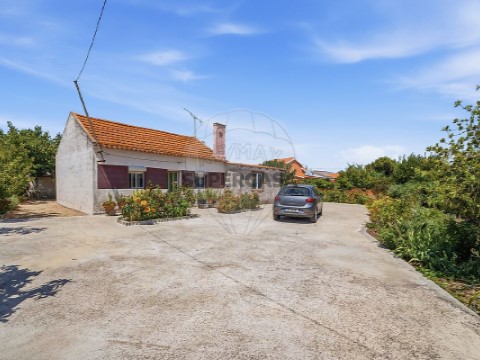 Quinta T2 em Gâmbia-Pontes-Alto Guerra, Setúbal