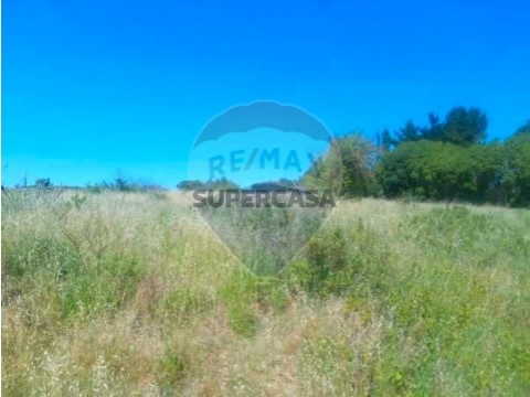 Terreno em Olhalvo, Alenquer