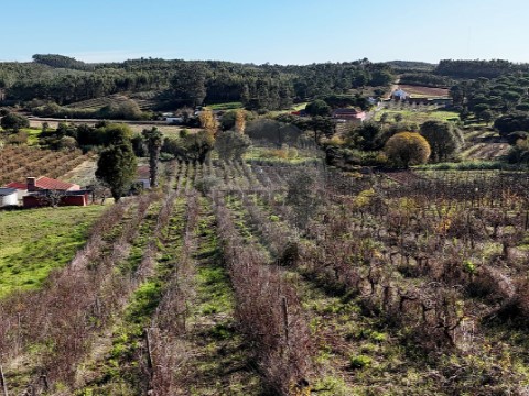 Terreno em Alguber, Cadaval