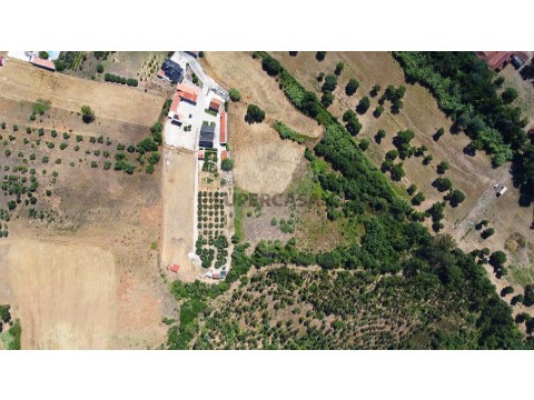 Terreno em Abrigada e Cabanas de Torres, Alenquer