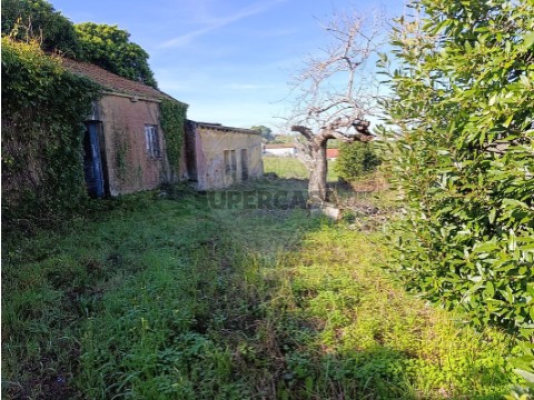Moradia T0 em Moita dos Ferreiros, Lourinhã