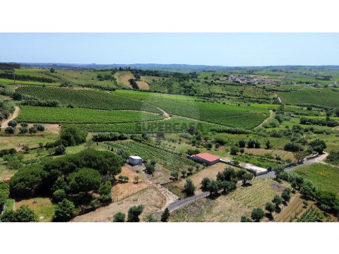 Terreno em Carvoeira e Carmões, Torres Vedras