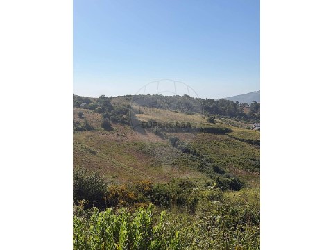 Terreno em Sobral de Monte Agraço, Sobral de Monte Agraço