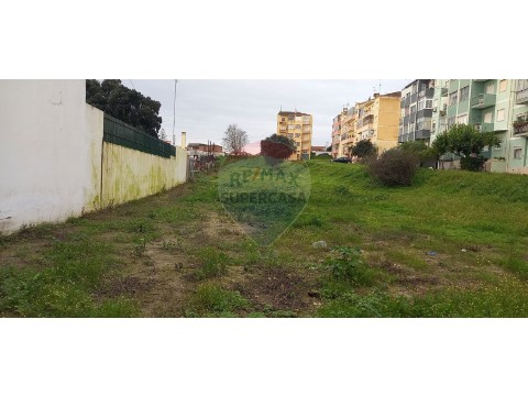 Terreno em Cartaxo e Vale da Pinta, Cartaxo