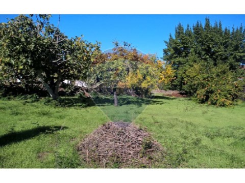 Terreno em Malhou, Louriceira e Espinheiro, Alcanena