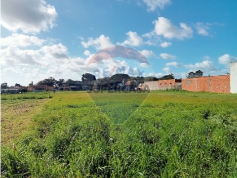 Terreno em Póvoa da Isenta, Santarém