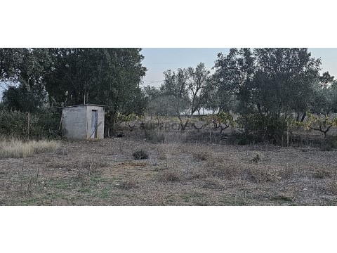 Terreno em Abrantes (São Vicente e São João) e Alferrarede, Abrantes